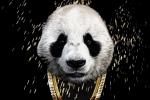 Pandawan