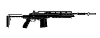 R6S_wpn_Mk_14_EBR.png.c83882bc56a8842620d9b29830b8f28f.png