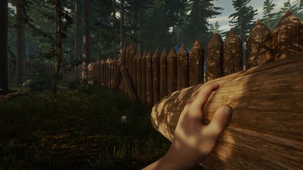 TheForest-lemn.thumb.jpg.82c91502dc870d710f6d00a008c19a31.jpg