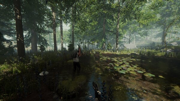 despreTheForest.thumb.jpg.252d3d79e005e76d616a742a712c856b.jpg