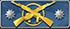 Master-Guardian-Elite-CSGO.jpg.b20f724c2d90d0695458f80df6f1dfe2.jpg