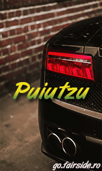 puiutzu.jpg.ee167fd0cf957863e7d3ac1c30d86b60.jpg
