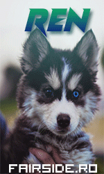 ren6.gif.b1cb39e171984b1dfe09f4ce28f11ddd.gif