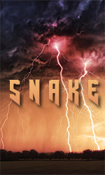 snake3.jpg.f2634aeda206e924701d5af965333a0d.jpg