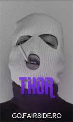 thor3.gif.7d458bc515790a968382da114a247916.gif