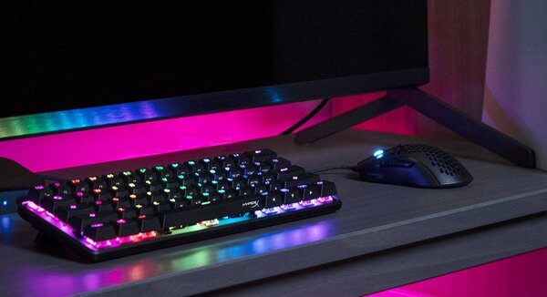 tastatura gaming mecanica hyperx