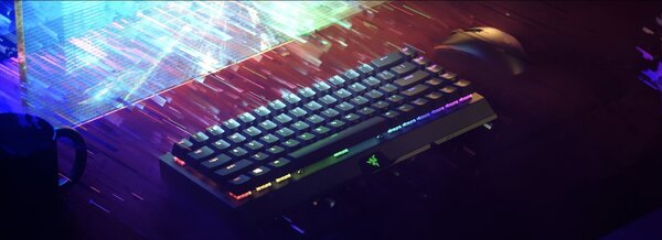 Tastatura gaming razer BlackWidow V3 Mini