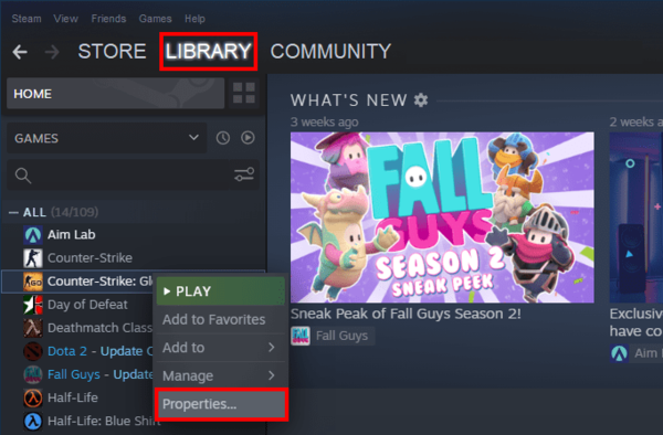 Steam Launch Options