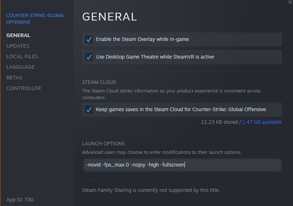 Steam launch options