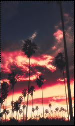 7WYX6or.png.3f437125736b832f0b1628f9066555e7.png