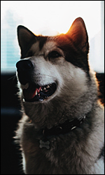AYC7m15.png.4e76b2e413abb15a42e26d5c831f7ea6.png