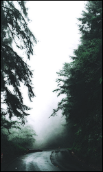 FjZu1WU.png.d5af7ea1fc5ab41f0a57bafee95e9b67.png