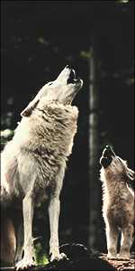 GyBkzUu.png.6d3aee75409097dc8b71a13d7003f37c.png
