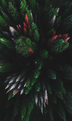 KpsX6Wf.png.f3c3c83e501f0a39bc552d1cc62e457a.png