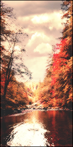 LIW3Chg.png.8a45717b8257c42eadb9d6855f989ab1.png