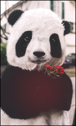 LVH5Ka6.png.06a6bac15e6382abbc9fa4a135379b43.png