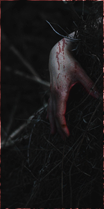TWpIj1O.png.210708ac360ca213b807228b12609e5b.png
