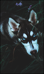 UEKSc5q.png.a5ef442b2f01e81b25ccd0232f98c5e5.png