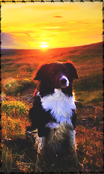 h9VWC7F.png.0464489d71b0f81026539ce7371b9ec2.png