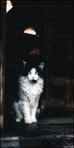 lqxhII6.jpg.64da581ec31b6d5079b963fd2ed4be63.jpg