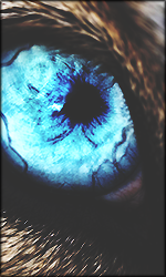 p97RfKC.png.80dd7fc8f315b1b3d2b7ab107fe8f34d.png