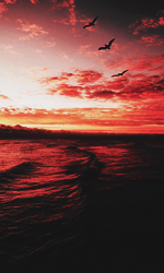 yHtoHrL.png.35c543392a77032ef5ce11c58717e336.png
