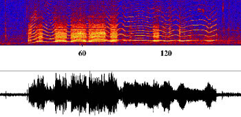 IcebergHarmonicTremor_HighFreq-350.jpg