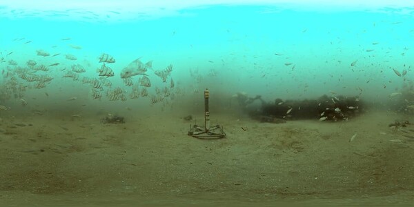 hydrophone.jpg