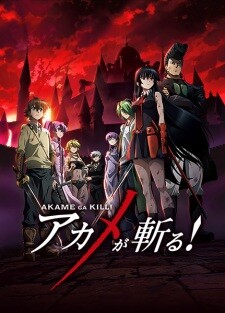 Poza Coperta Anime Akame Review