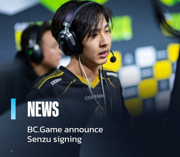 fairside-cs2-esports-senzu-bcgame-s1mple-passionua.jpg