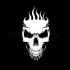 The Punisher